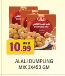 Gulf Hypermarket AL ALALI Dumpling Mix offer