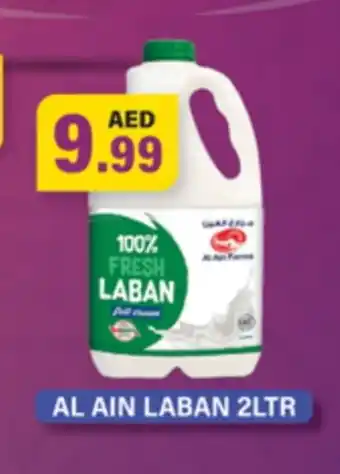 Gulf Hypermarket AL AIN Laban offer