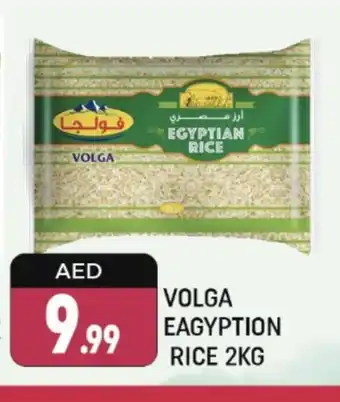 Shaklan VOLGA Egyptian / Calrose Rice offer