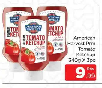 Al Madina AMERICAN HARVEST Tomato Ketchup offer