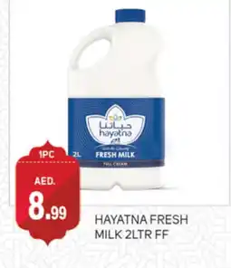 Talal Market HAYATNA Fresh Milk offer