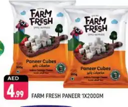 Shaklan FARM FRESH Cottage Cheese offer