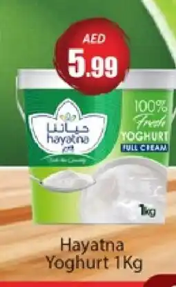 Al Madina HAYATNA Yoghurt offer