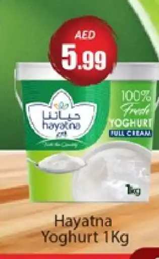 Al Madina HAYATNA Yoghurt offer