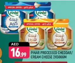 Shaklan PINAR Cheddar Cheese offer