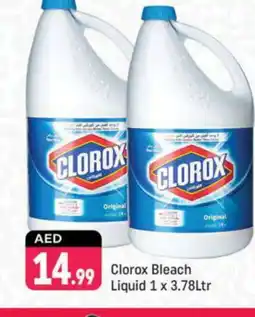 Shaklan CLOROX Bleach offer