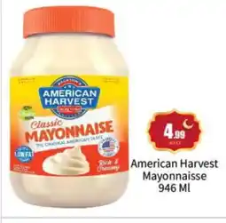 Bigmart AMERICAN HARVEST Mayonnaise offer