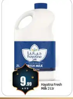 Bigmart HAYATNA Fresh Milk offer