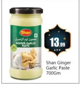 Bigmart SHAN Garlic Paste offer