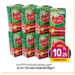 Bigmart AL AIN Tomato Paste offer