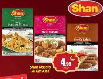 Bigmart SHAN Spices / Masala offer