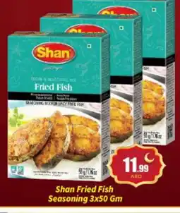 Bigmart SHAN Spices / Masala offer