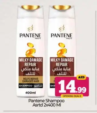 Bigmart PANTENE Shampoo / Conditioner offer