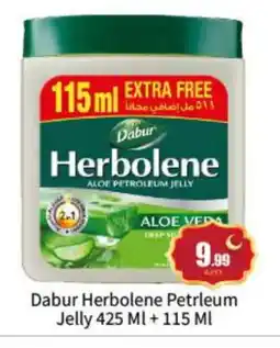 Bigmart DABUR Petroleum Jelly offer