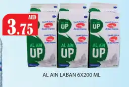 Gulf Hypermarket AL AIN Laban offer