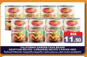 Aswaq Ramez CALIFORNIA GARDEN Fava Beans offer