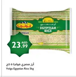 Istanbul Supermarket VOLGA Egyptian / Calrose Rice offer