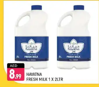 Shaklan HAYATNA Fresh Milk offer