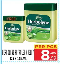 Day Star Department Store DABUR Petroleum Jelly offer