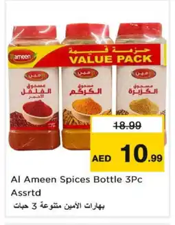 Nesto AL AMEEN Spices / Masala offer