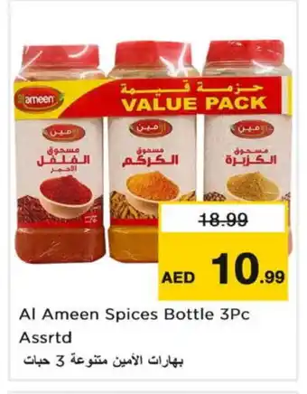 Nesto AL AMEEN Spices / Masala offer