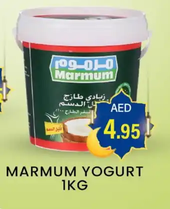 Zain Hypermarket MARMUM Yoghurt offer