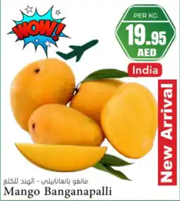 Almaya supermarket Mango banganapalli offer