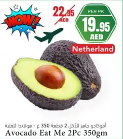 Almaya supermarket Avocado eat me offer