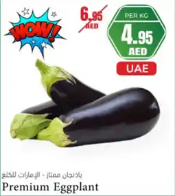 Almaya supermarket Premium eggplant offer