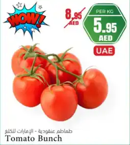 Almaya supermarket Tomato bunch offer