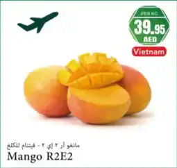 Almaya supermarket Mango R2E2 offer