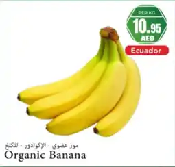 Almaya supermarket Organic banana offer