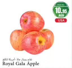 Almaya supermarket Royal gala apple offer