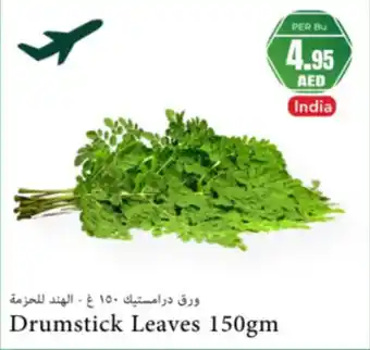 Almaya supermarket Drumstick leaves offer