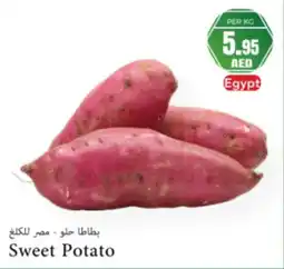 Almaya supermarket Sweet Potato offer