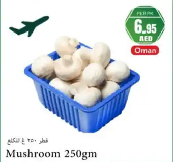 Almaya supermarket Mushroom offer