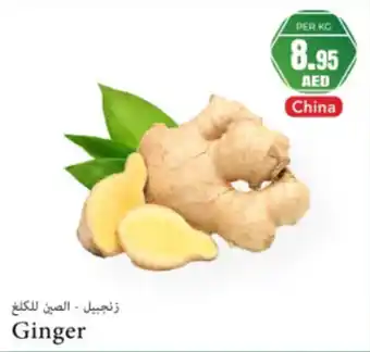 Almaya supermarket Ginger offer