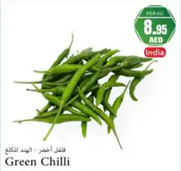 Almaya supermarket Green chilli offer