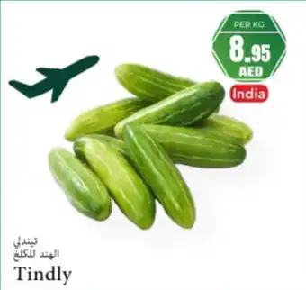 Almaya supermarket Tindly offer