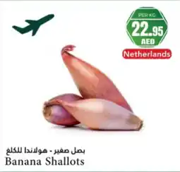 Almaya supermarket Banana shallots offer