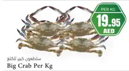 Almaya supermarket Big crab offer