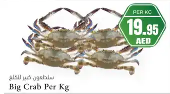 Almaya supermarket Big crab offer