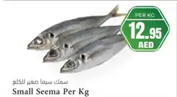 Almaya supermarket Small seema offer