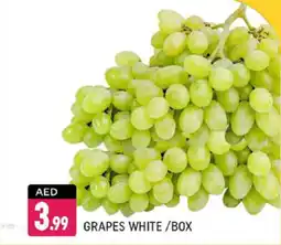 Shaklan Grapes white offer