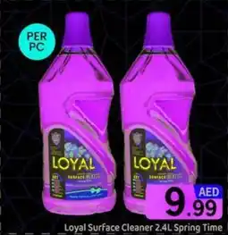 GATE Loyal surface cleaner spring time offer