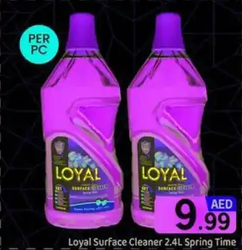 GATE Loyal surface cleaner spring time offer