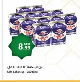 Istanbul Supermarket SAFA Laban offer