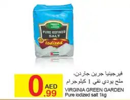 Green House Virginia green garden pure iodized salt offer