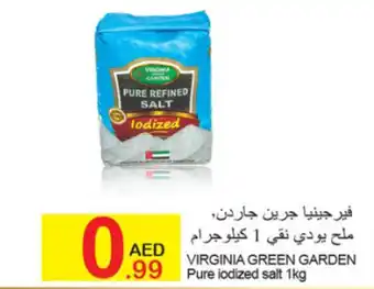 Green House Virginia green garden pure iodized salt offer