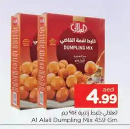 Al Madina AL ALALI Dumpling Mix offer